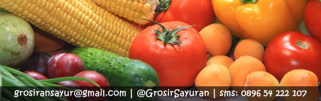 header blog