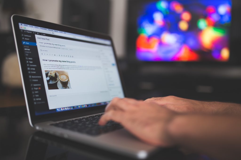 WordPress Themes